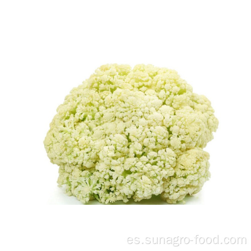 Calidad deliciosa coliflor congelada